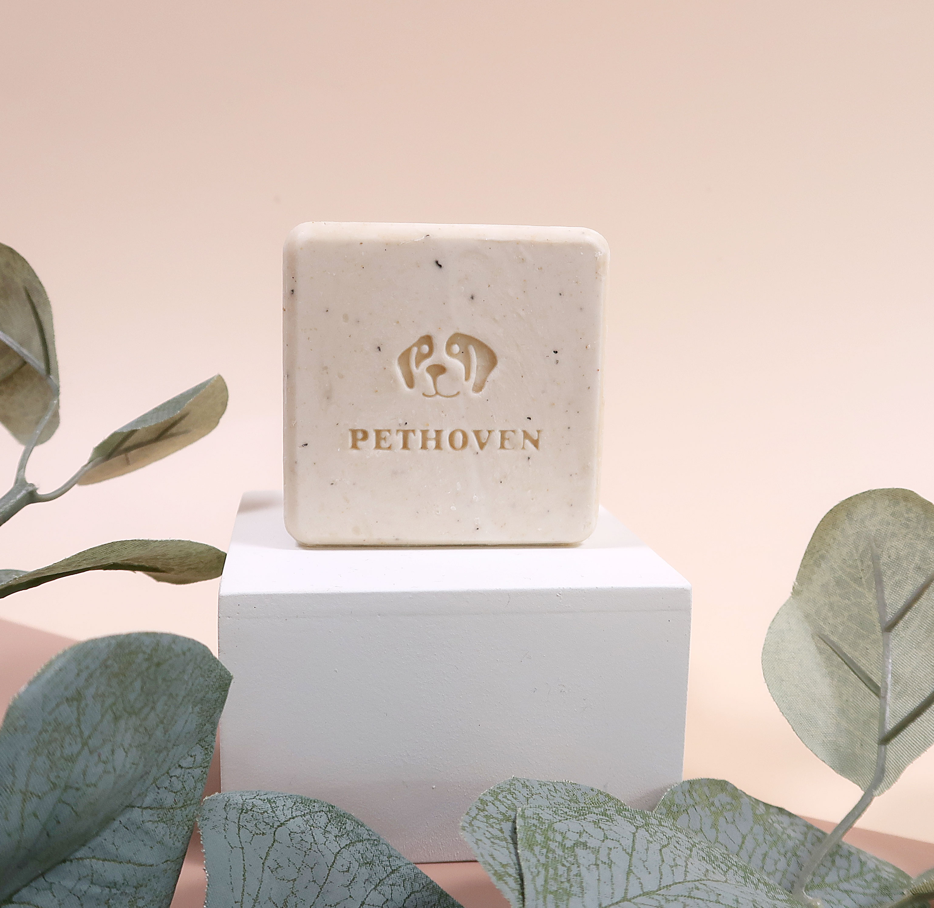 [반려동물] 에스까모 펫토벤