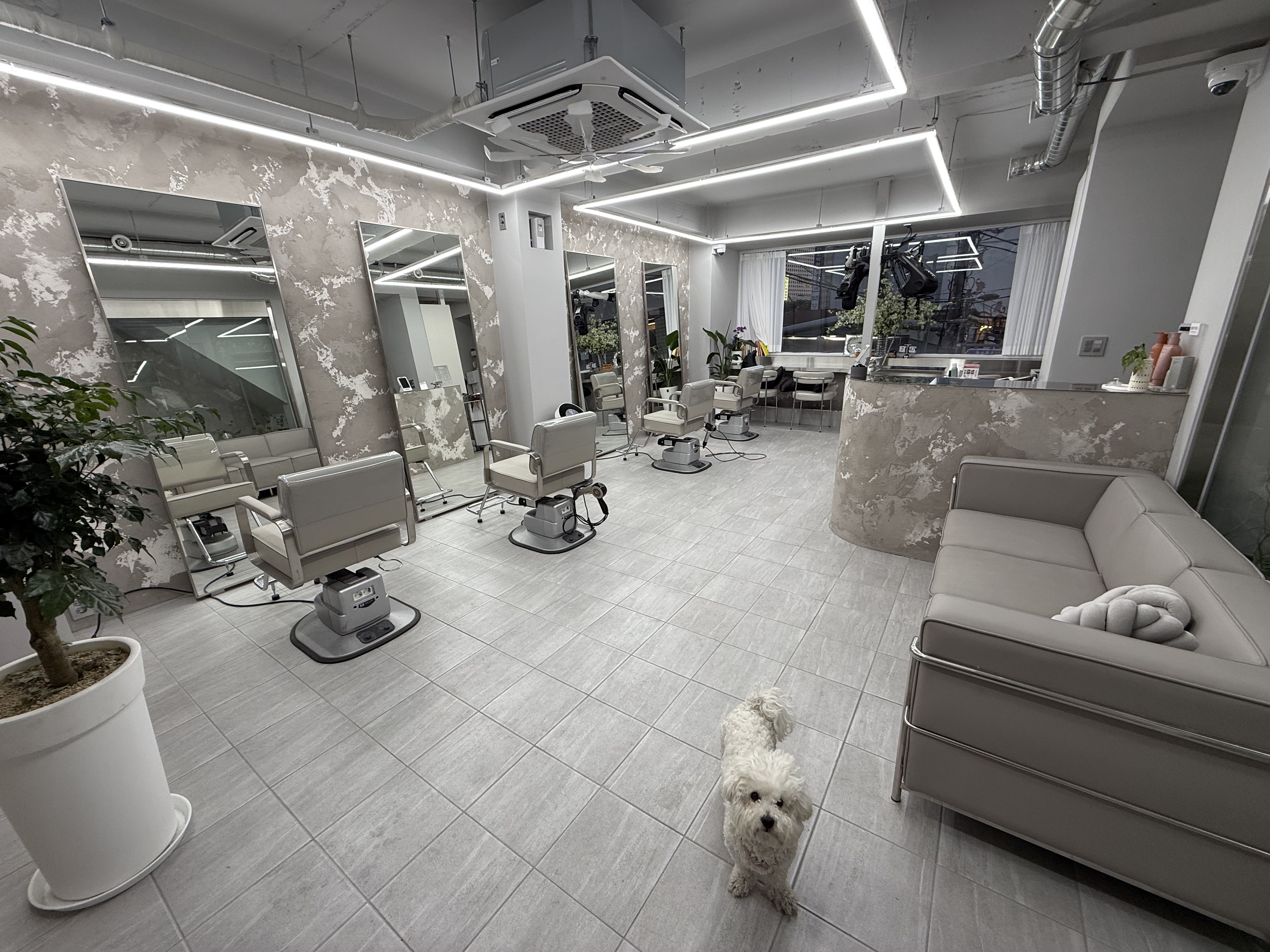 [성북] 루프헤어