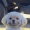 프로필 사진