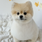 프로필 사진