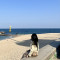 프로필 사진
